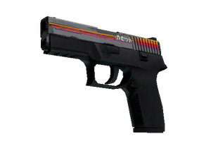 StatTrak™ P250 | Cassette (Well-Worn)