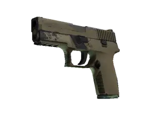 P250 | Sand Dune (Well-Worn)